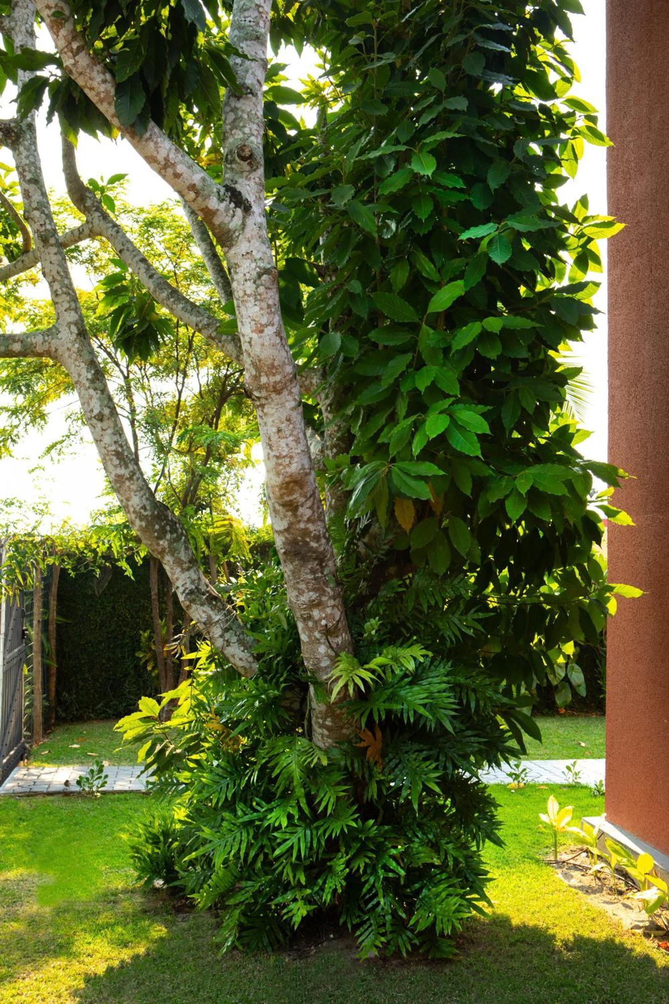 Casas Aconchegantes Com Piscina Na Encantadora Cigarras Holiday home
